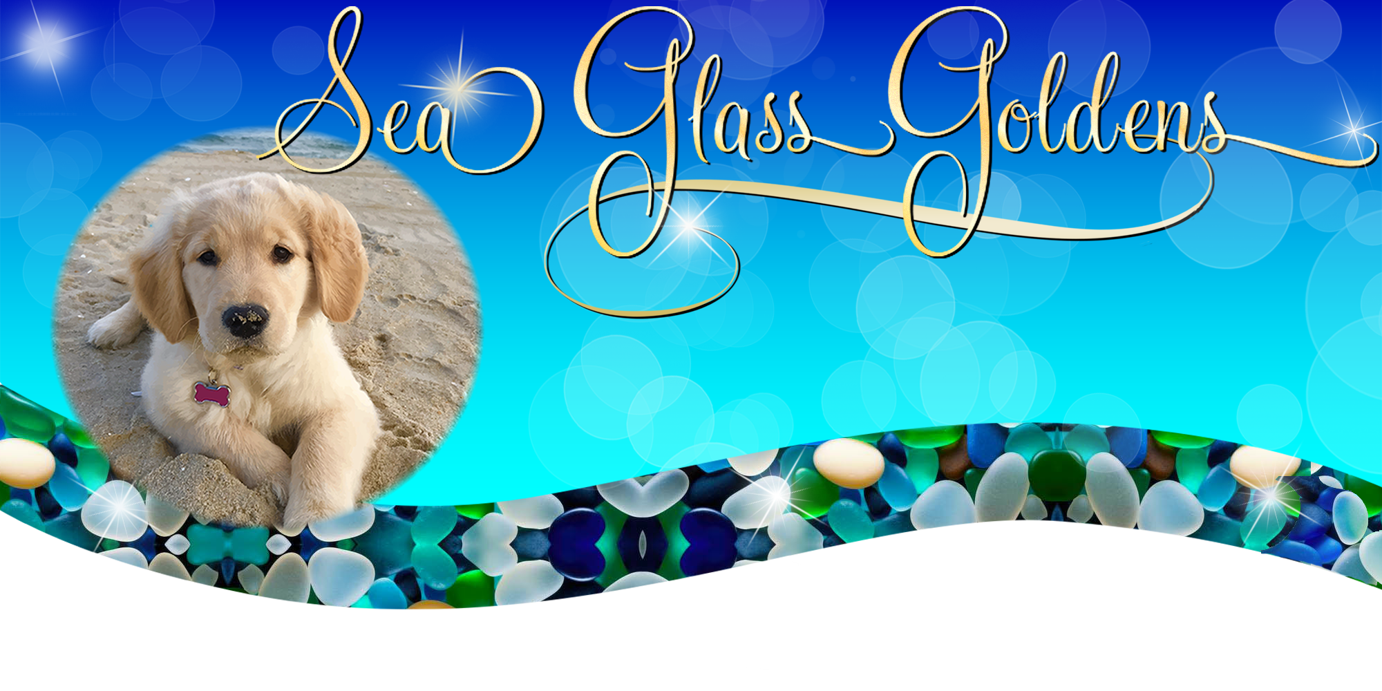 sea glass goldens in NJ